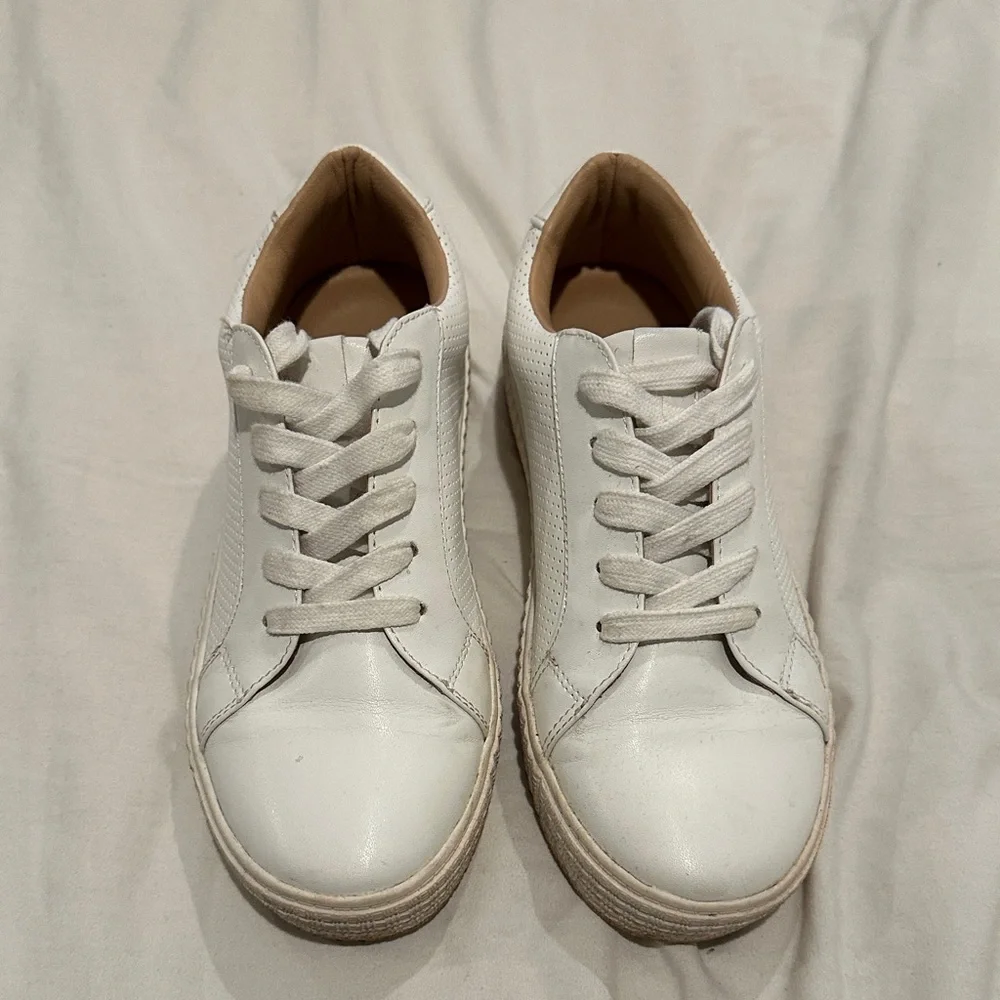 Steve Madden TOLIVER Sneakers - Picture 2 of 8